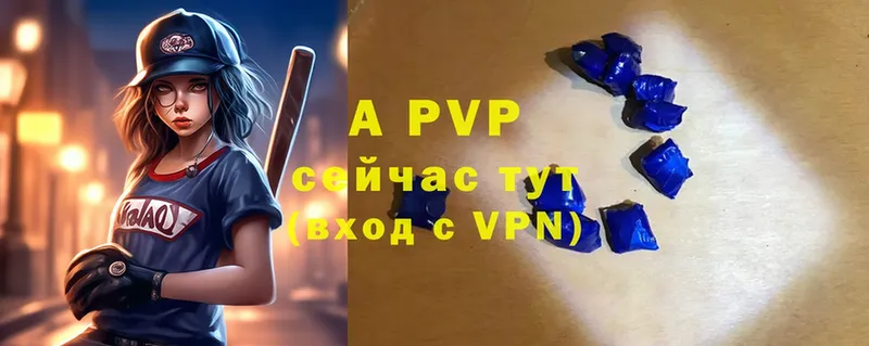 A PVP СК КРИС  Воронеж 